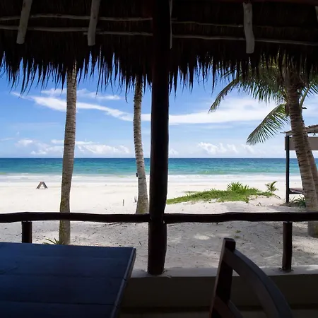 Bt Live Located At The Party Zone 4* Tulum