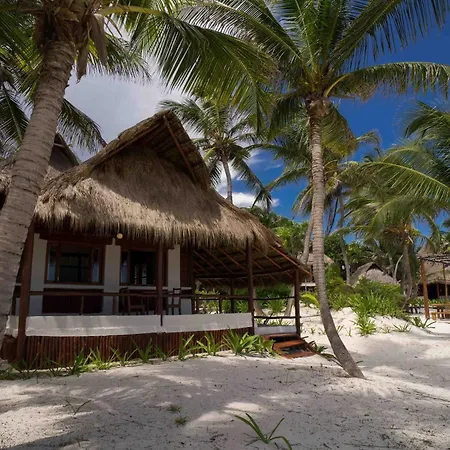 Hotel Bt Live Located At The Party Zone Tulum