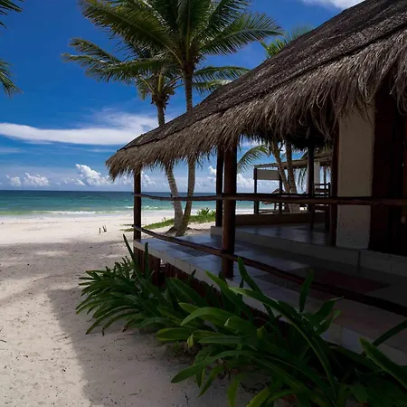 Bt Live Located At The Party Zone Hotel Tulum
