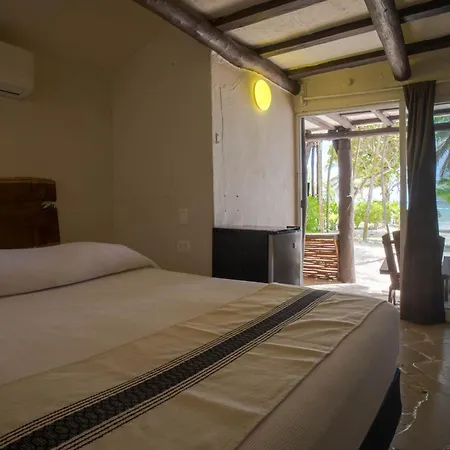 Bt Live Located At The Party Zone Hotel Tulum