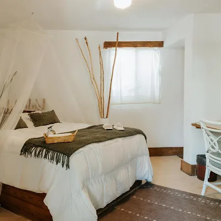 Hotel Icastico *