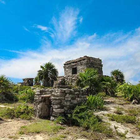 Tao Edena 69 Apartment Tulum