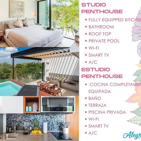Apartment Panoramic By Alegria And Sandy Powerful *