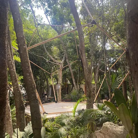 Bufo Alvarius Hotel Tulum
