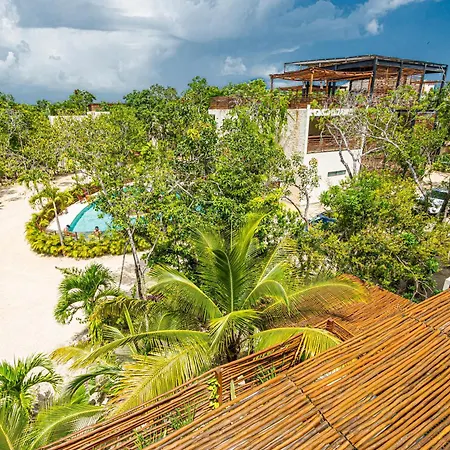 Jungle - Chakra Artbat * Tulum