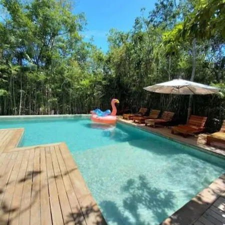 Spectacular Jungle In Th 33 Terrace Gym Private Pool Villa Tulum