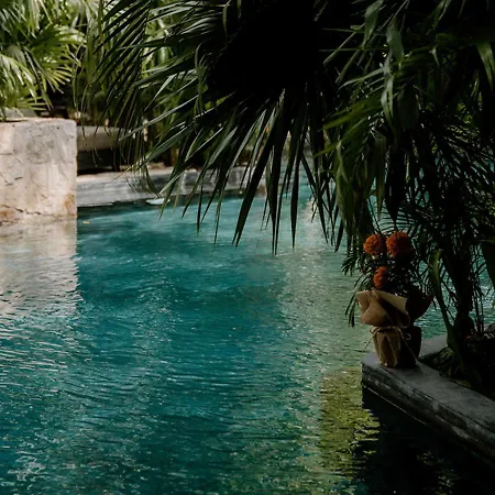 Bardo - Adults Only Hotel Tulum
