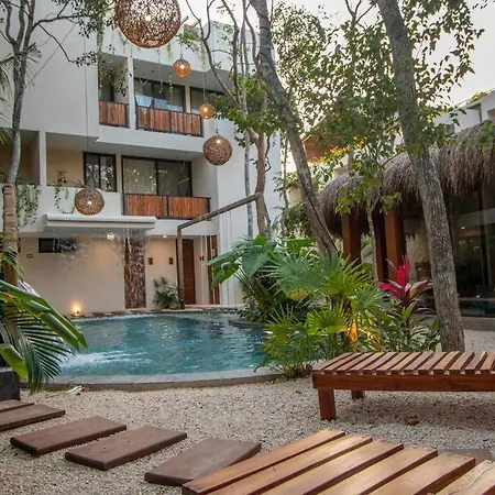 Apartment Maxia: Dream *