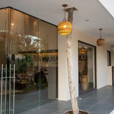 Maxia: Dream * Tulum