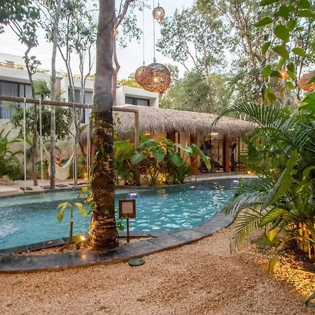 Maxia: Dream Tulum