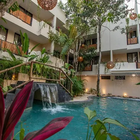 Apartment Maxia: Dream