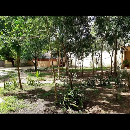 Campsite Luna Y Sombra Tulum