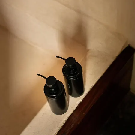 Bufo Alvarius Hotel Tulum
