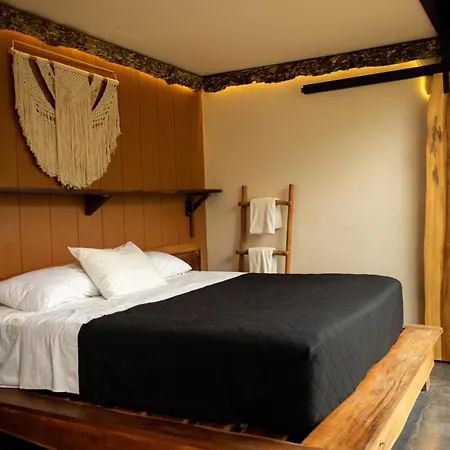 Hotel Bufo Alvarius