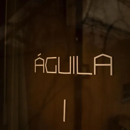 Bufo Alvarius Hotel Tulum