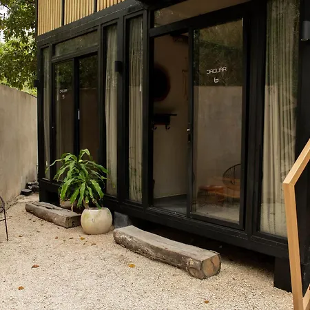 Hotel Bufo Alvarius Tulum