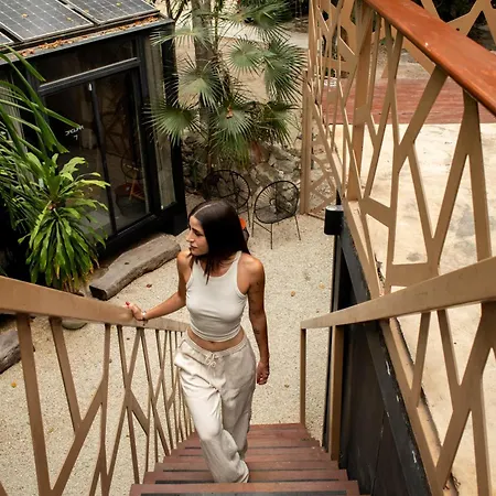 Bufo Alvarius Hotel Tulum