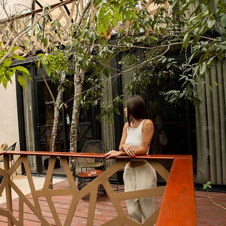 Hotel Bufo Alvarius 2*