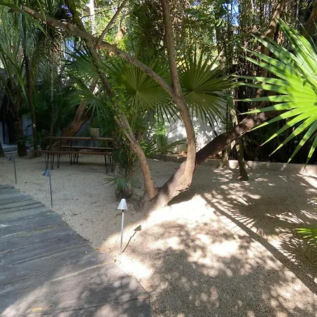 Hotel Amor Rooms Tulum