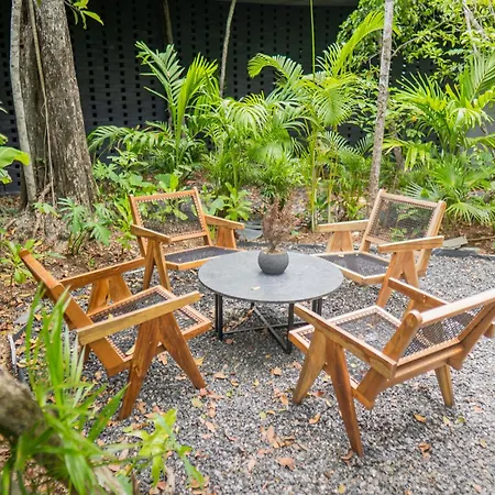 Nature Surrounded Studio With Private Plunge Pool Apartment Tulum
