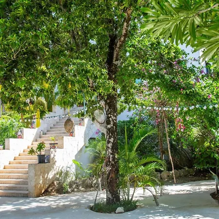 Bed & Breakfast Agua Y Fuego