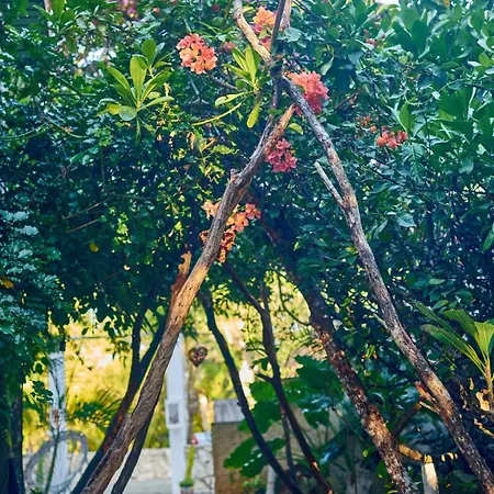 Agua Y Fuego Tulum