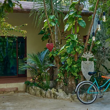 Bed & Breakfast Agua Y Fuego