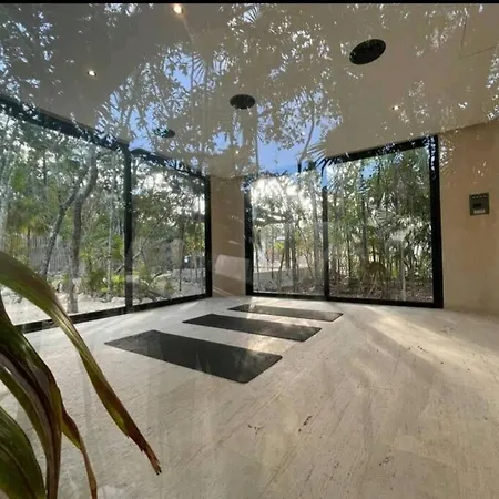 Villa Dream House 2,jacuzzi And Cenote