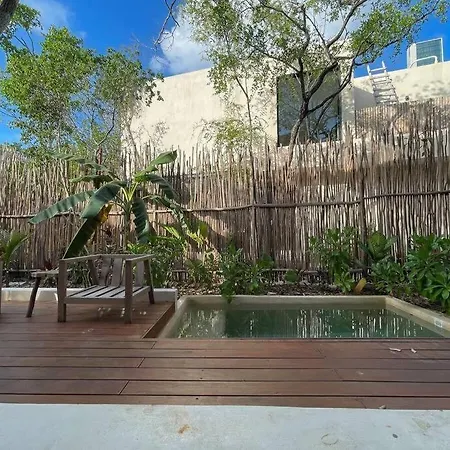 Villa Dream House 2,jacuzzi And Cenote