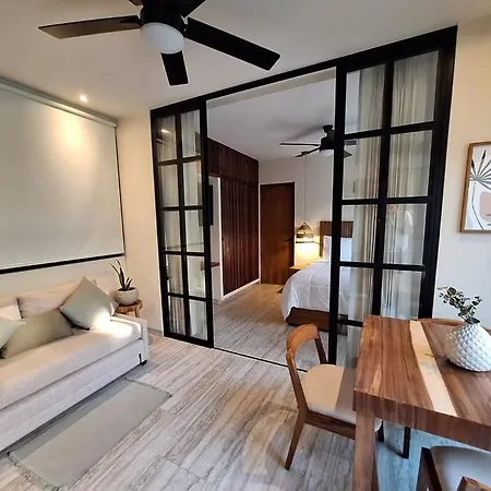 Apartment Estudio Con Alberca Privada