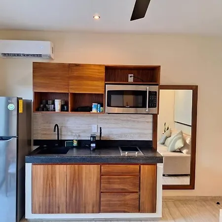 Apartment Estudio Con Alberca Privada Tulum
