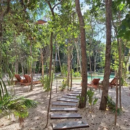 Estudio Con Alberca Privada Tulum