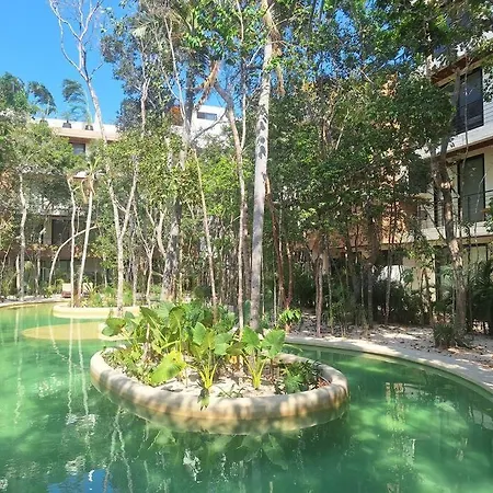 Estudio Con Alberca Privada Tulum