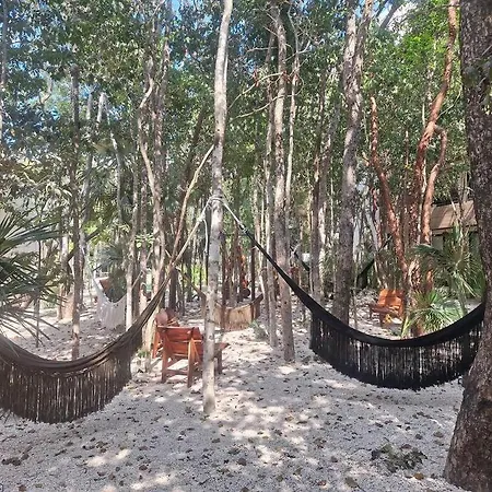 Estudio Con Alberca Privada Tulum