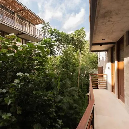 Apartment Amazing Ph Private Rooftop Private Cenote *