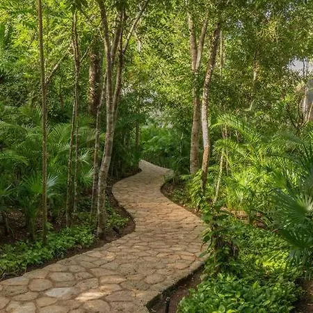 Apartment Amazing Ph Private Rooftop Private Cenote Tulum