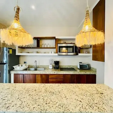 Penthouse Con Alberca Privada Apartment *
