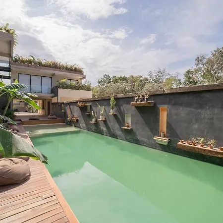 Luxury Oasis Vibes Jungle Retreat