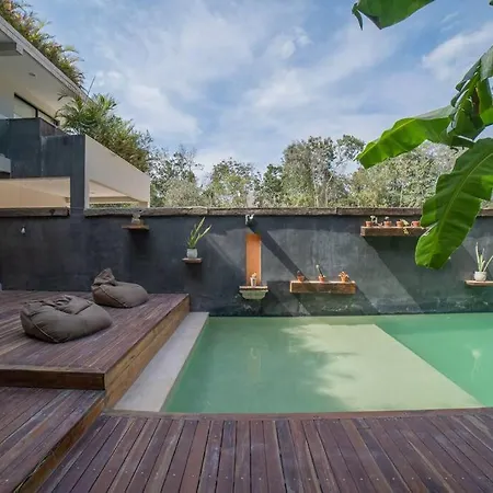 Luxury Oasis Vibes Jungle Retreat Apartment