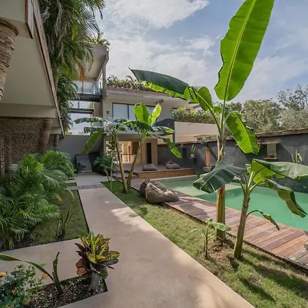 Luxury Oasis Vibes Jungle Retreat Apartment *