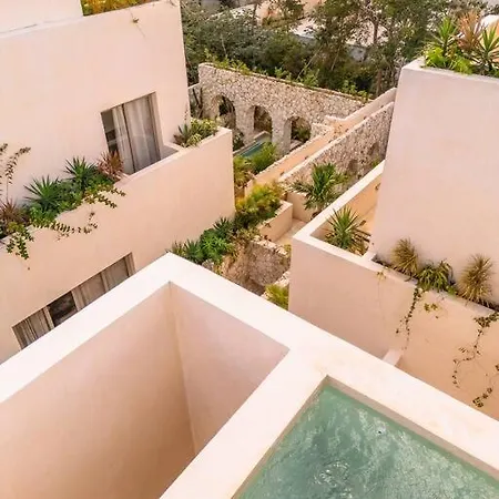 Paradisiac Rooftop With Private Pool Tulum
