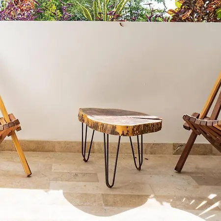 Comfortable Studio In Elena Apartment *