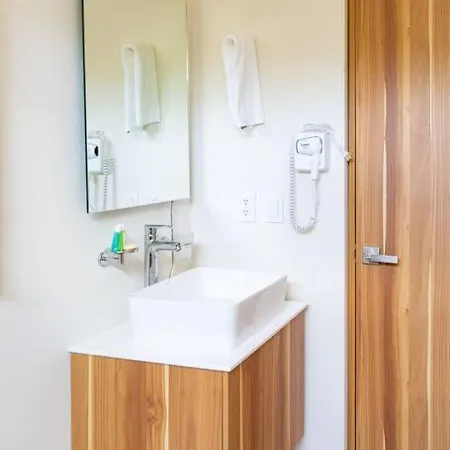 Comfortable Studio In Elena Apartment