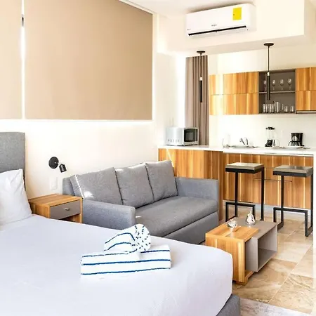 Comfortable Studio In Elena Apartment *