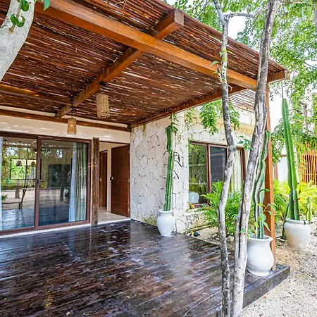 Jungle - Cenote Villa