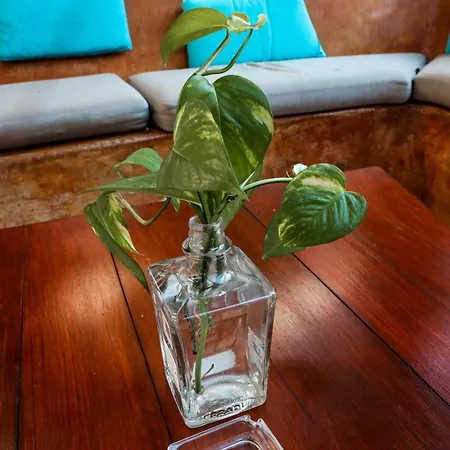 Ana Oasis Aldea Z Apartment Tulum