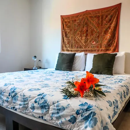Ana Oasis Aldea Z Tulum