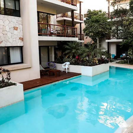 Ana Oasis Aldea Z *