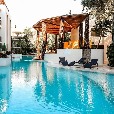 Ana Oasis Aldea Z
