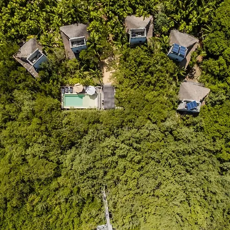 Vida Silvestre * Tulum